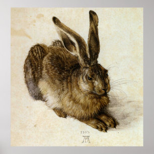 Affiches "Jeune lièvre" par Albrecht Dürer