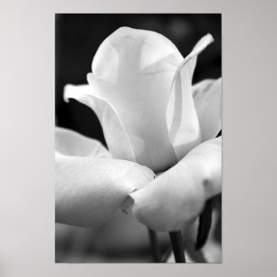 Affiches John F. Kennedy s'est levé