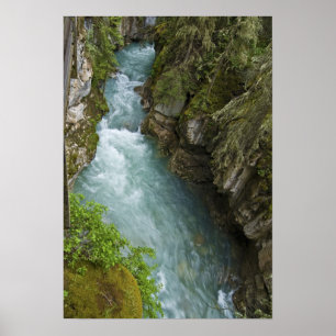 Affiches Johnston Canyon