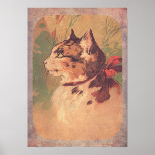 Affiches Joli Kitty Vintage