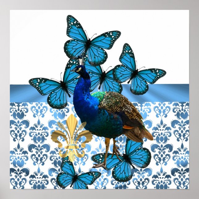 Affiches Joli paon et papillons bleus (Devant)