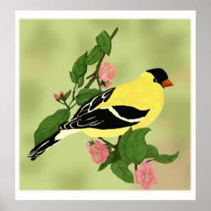 Affiches Joli Petit Oiseau Goldfinch