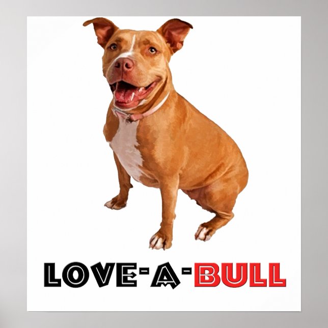 Affiches Joli Pittie Brown Amour-à-Taureau (Devant)