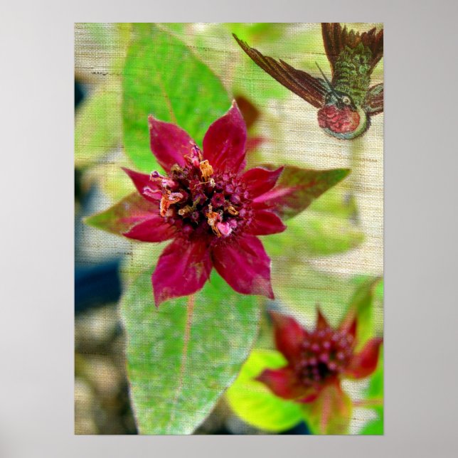 Affiches Joli Plante 2 (Devant)