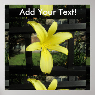 Affiches Jolie Fleur Lily Jaune