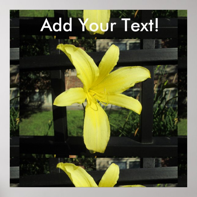 Affiches Jolie Fleur Lily Jaune (Devant)