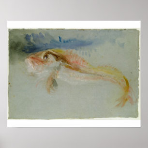 Affiches Joseph Mallord William Turner   A Gurnard
