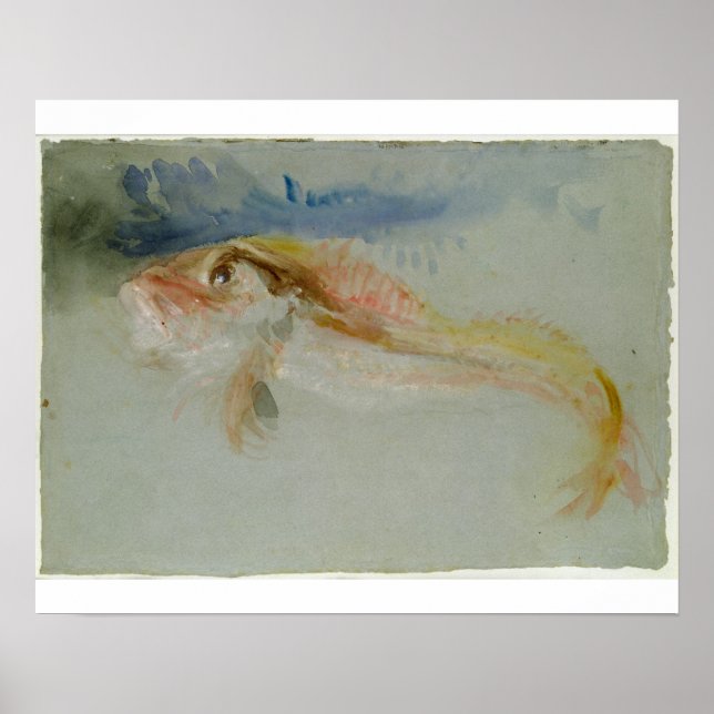 Affiches Joseph Mallord William Turner | A Gurnard (Devant)