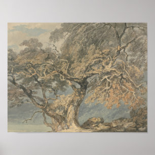 Affiches Joseph Mallord William Turner - Un grand arbre