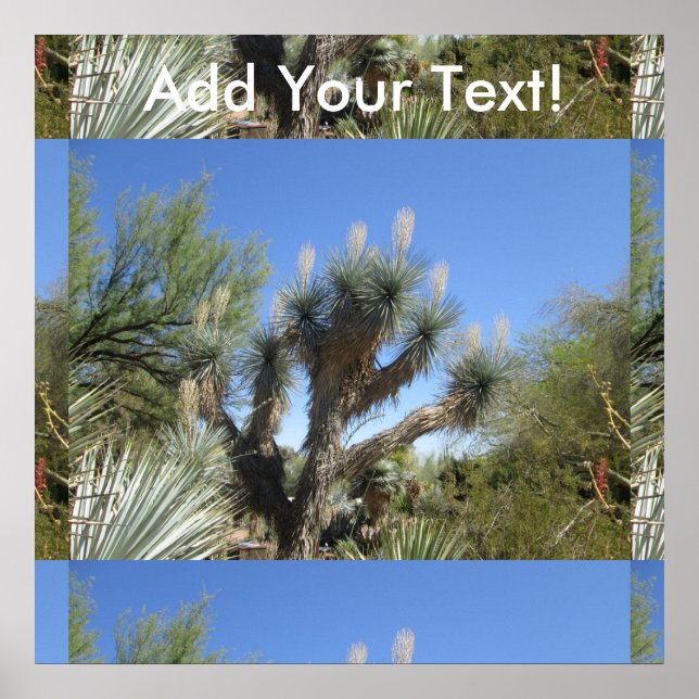 Affiches Joshua Tree (Devant)