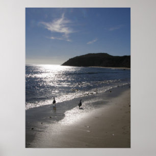 Affiches Jour à la plage