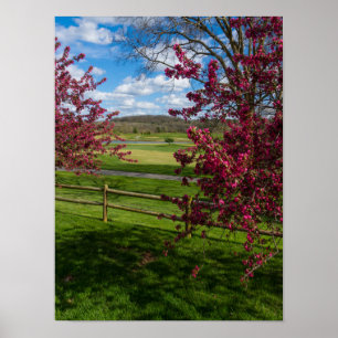 Affiches Jour de printemps à Rivercut