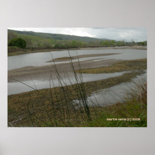 Affiches Jour des pluies de Coyote Creek