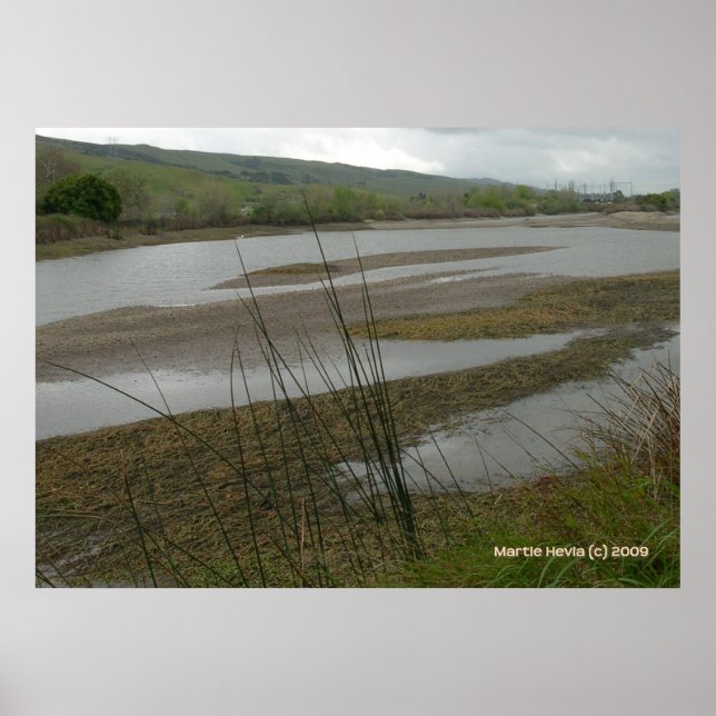 Affiches Jour des pluies de Coyote Creek (Devant)