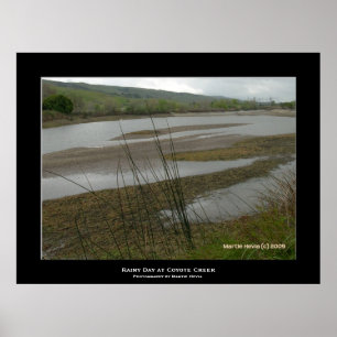 Affiches "Jour des pluies de Coyote Creek"