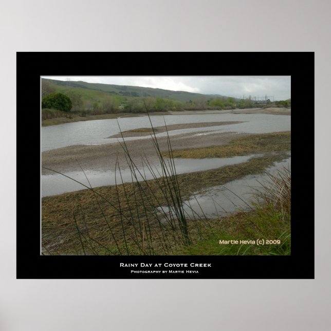 Affiches "Jour des pluies de Coyote Creek" (Devant)
