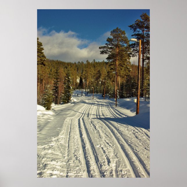 Affiches Jour d'hiver en Suède (Devant)