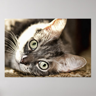 Affiches Jour difficile