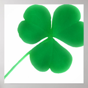Affiches Jour du shamrock vert irlandais   St Patrick