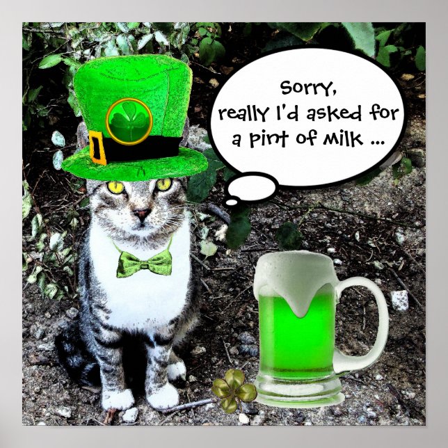 AFFICHES JOURNÉE DE LA SAINT-PATRICK CHAT AVEC BIÈRE IRLAND (Devant)