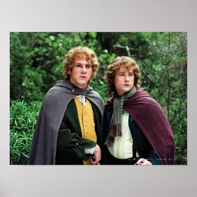 Affiches Joyeux et Peregrin (Devant)