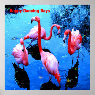 Affiches Joyeux Jours de danse flamants