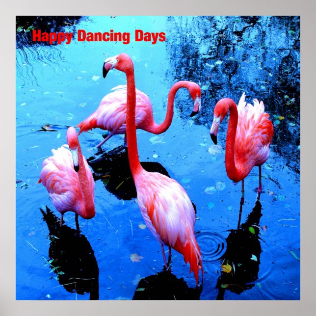 Affiches Joyeux Jours de danse flamants (Devant)