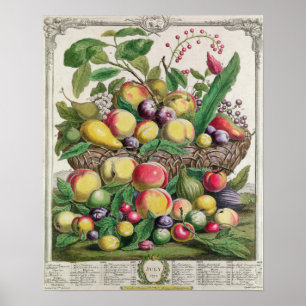 Affiches Juillet, "Douze mois de fruits"