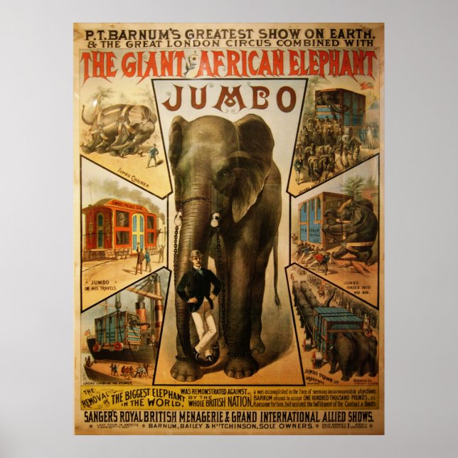 Affiches Jumbo, l'affiche géante des éléphants africains (Devant)