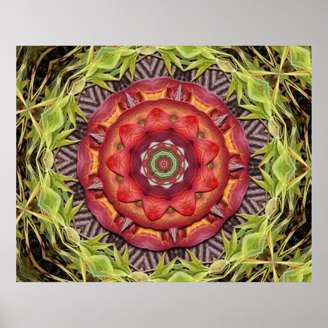 Affiches Jungle Shield (Devant)