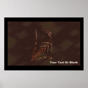 Affiches Jurassic fossile