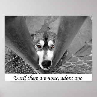 Affiches Jusqu'à ce qu'il n'y en ait pas, en adopter un