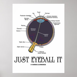Affiches Juste Eyeball It (Eye Anatomy Approximation Dit)