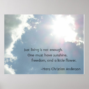 Affiches Juste la vie n'est pas assez