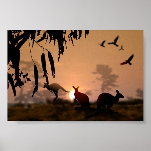 Affiches Kangaroos (Devant)
