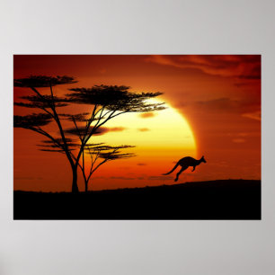 Affiches kangourou au coucher du soleil