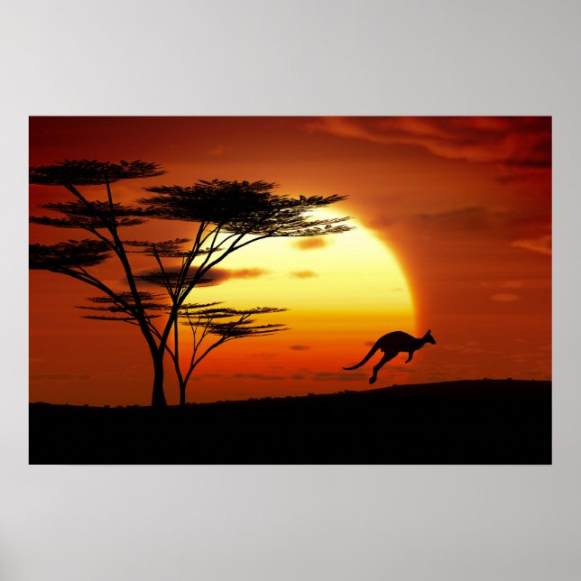 Affiches kangourou au coucher du soleil (Devant)