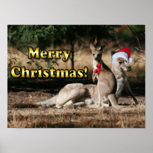Affiches Kangourous australiens de Noël de style
