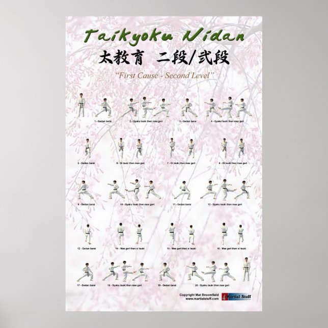 Affiches Kata Taikyoku Nidan - 2ème kata (Devant)