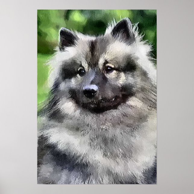 Affiches Keeshond Cadeaux Imprimeries d'art (Devant)