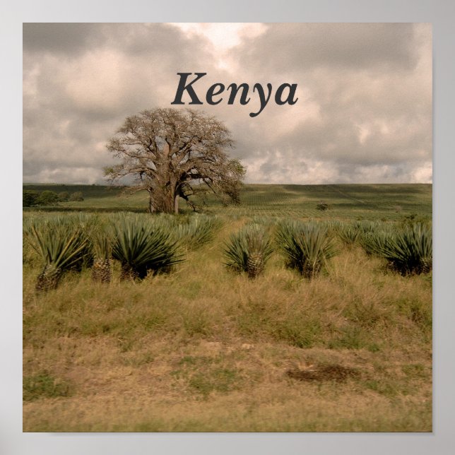 Affiches Kenya (Devant)