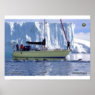 Affiches Kim en Antarctique