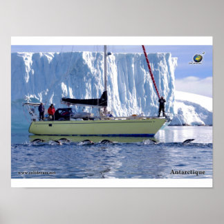 Affiches Kim en Antarctique