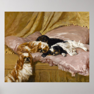 Affiches King Charles Spaniels by Arthur Wardle