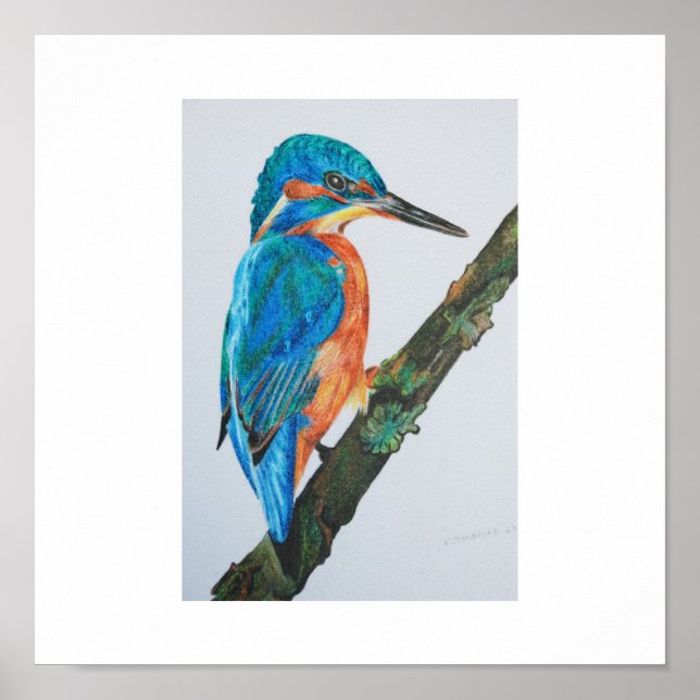 Affiches Kingfisher Print - choisissez votre papier et votr (Devant)
