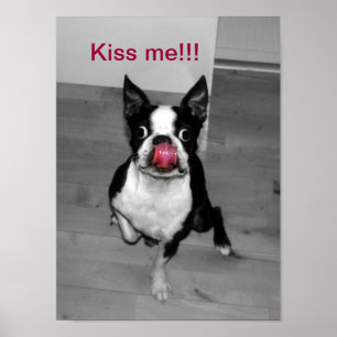 AFFICHES KISS ME