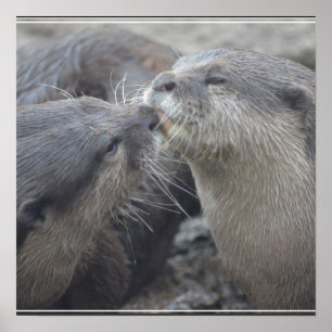 Affiches Kissing River Otters