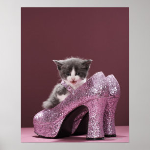 Affiches Kitten assis dans des chaussures de parties scinti