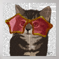 Kitten dans les lunettes de soleil étoilées