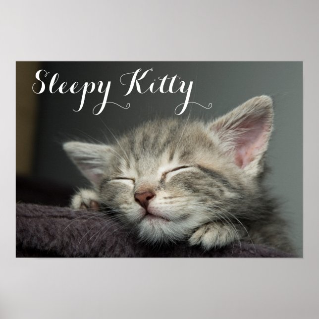 Affiches Kitten endormi (Devant)